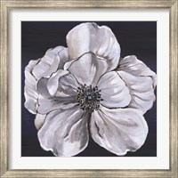 Framed Blue & White Floral III