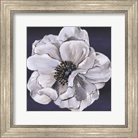 Framed Blue & White Floral IV