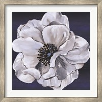 Framed Blue & White Floral IV