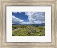Framed Highland Path Landscape
