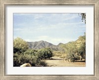 Framed Desert Path