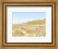 Framed Seagrass Dunes