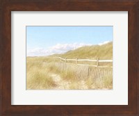Framed Seagrass Dunes