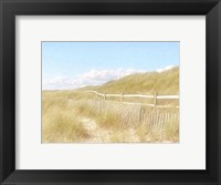 Framed Seagrass Dunes