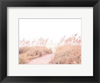 Framed Walk through the Grasses