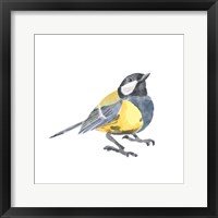 Songbird III Framed Print