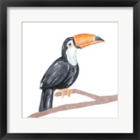 Framed Tropical Toucan I