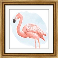 Framed 'Tropical Flamingo I' border=