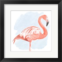 Framed Tropical Flamingo II