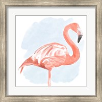 Framed Tropical Flamingo II
