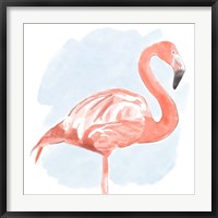 Framed Tropical Flamingo II