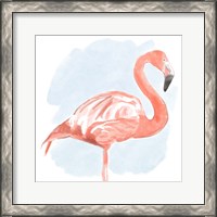 Framed 'Tropical Flamingo II' border=