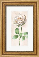 Framed Ivory Roses Panel I