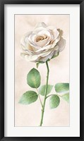 Framed Ivory Roses Panel I