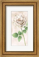 Framed Ivory Roses Panel II