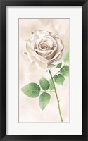 Framed Ivory Roses Panel II