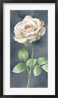 Framed Ivory Roses on Gray Panel I
