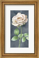 Framed Ivory Roses on Gray Panel I