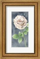 Framed Ivory Roses on Gray Panel II