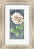 Framed Ivory Roses on Gray Panel II
