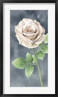 Framed Ivory Roses on Gray Panel II