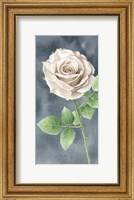 Framed Ivory Roses on Gray Panel II