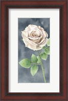 Framed Ivory Roses on Gray Panel II