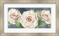 Framed Ivory Roses on Gray Landscape I