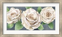 Framed Ivory Roses on Gray Landscape II