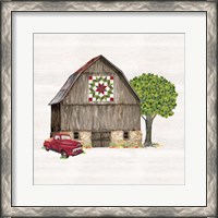 Framed Spring & Summer Barn Quilt II