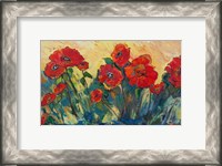 Framed Flamboyant Poppies