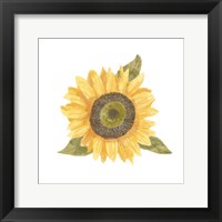 Framed Single Sunflower I
