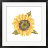 Framed Single Sunflower I