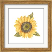 Framed 'Single Sunflower I' border=