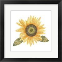 Framed Single Sunflower II