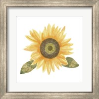 Framed 'Single Sunflower II' border=