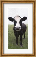 Framed Funky Cow I