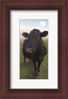 Framed Funky Cow II