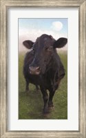 Framed Funky Cow II