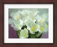 Framed Sunlit Tulips