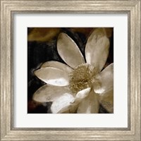 Framed Bronze Lily