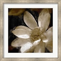Framed Bronze Lily