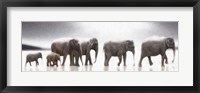 Framed Elephant Mirage