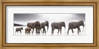 Framed Elephant Mirage