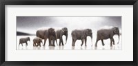 Framed Elephant Mirage