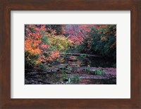 Framed Fall Creek