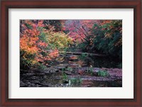 Framed Fall Creek
