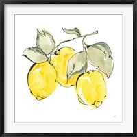 Framed Lemons IV