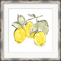 Framed Lemons IV