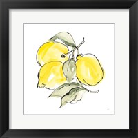 Framed Lemons III